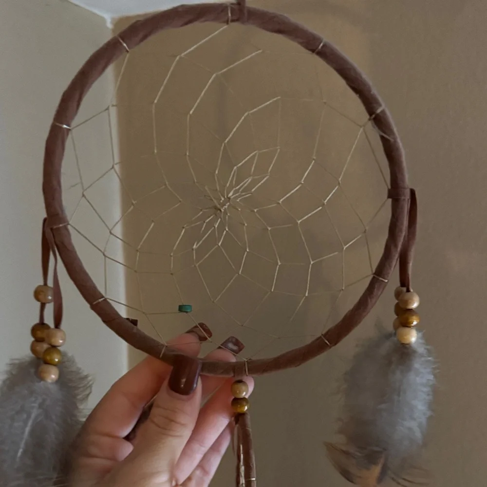 Brown Feathers Dreamcatcher Wall Decor